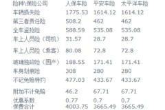 车险明细表2022价格,【2022年车险价格大揭秘：费用明细一目了然，别再被骗了！】