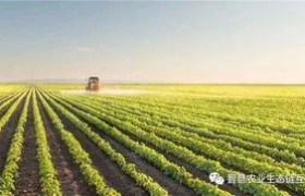 艾奥瓦：创新与农业的完美结合