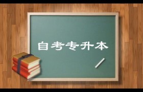 专升本要什么条件,一步到位，开启本科之旅：专升本，你准备好了吗？
