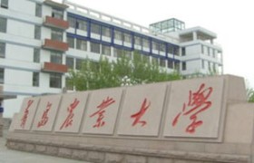 青岛农业大学研究生处：培养未来农业领袖的摇篮