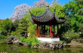 温哥华是哪个国家,温哥华：加拿大的一颗璀璨明珠