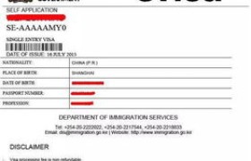 【独家解析】电子签证的未来趋势与发展，轻松实现全球旅行梦想！