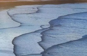 俄勒冈：探索未知的奇妙之旅
