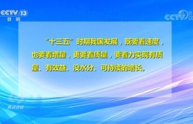 童晟智教：引领未来的教育新理念